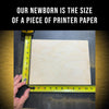 Motivational Wall Art - Infuse Your Space with 'No Guts, No Story' Wisdom
